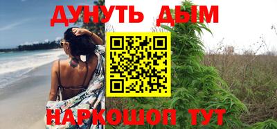 амф Новокубанск