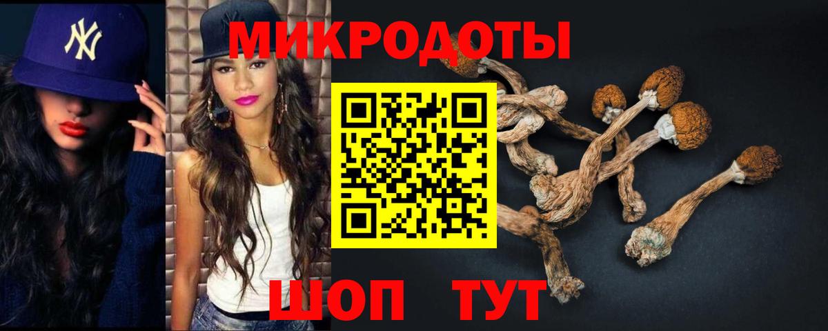 Псилоцибиновые грибы Cubensis Томск